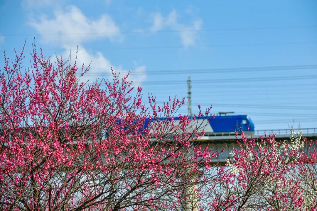 沈志鹏 镇海庄市永旺.jpg