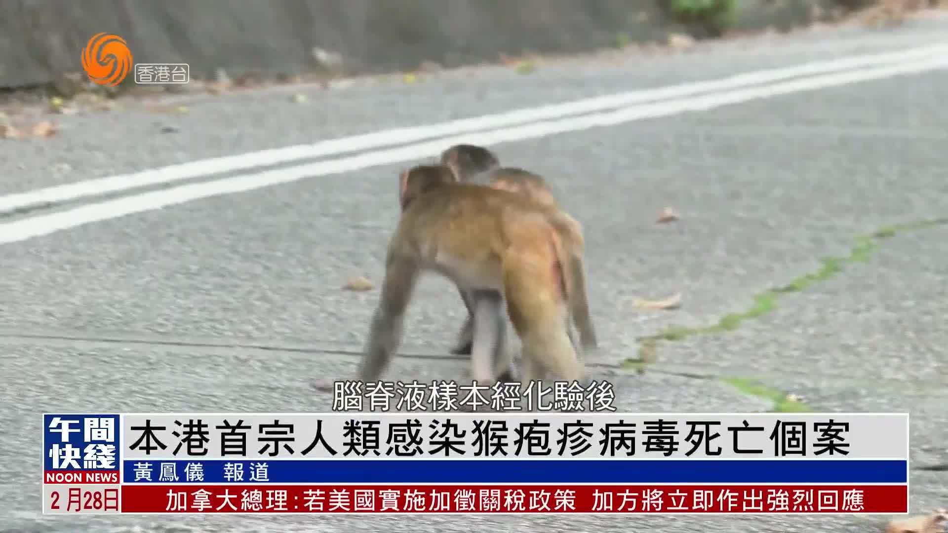 粤语报道｜香港出现首宗人类感染猴疱疹病毒死亡个案