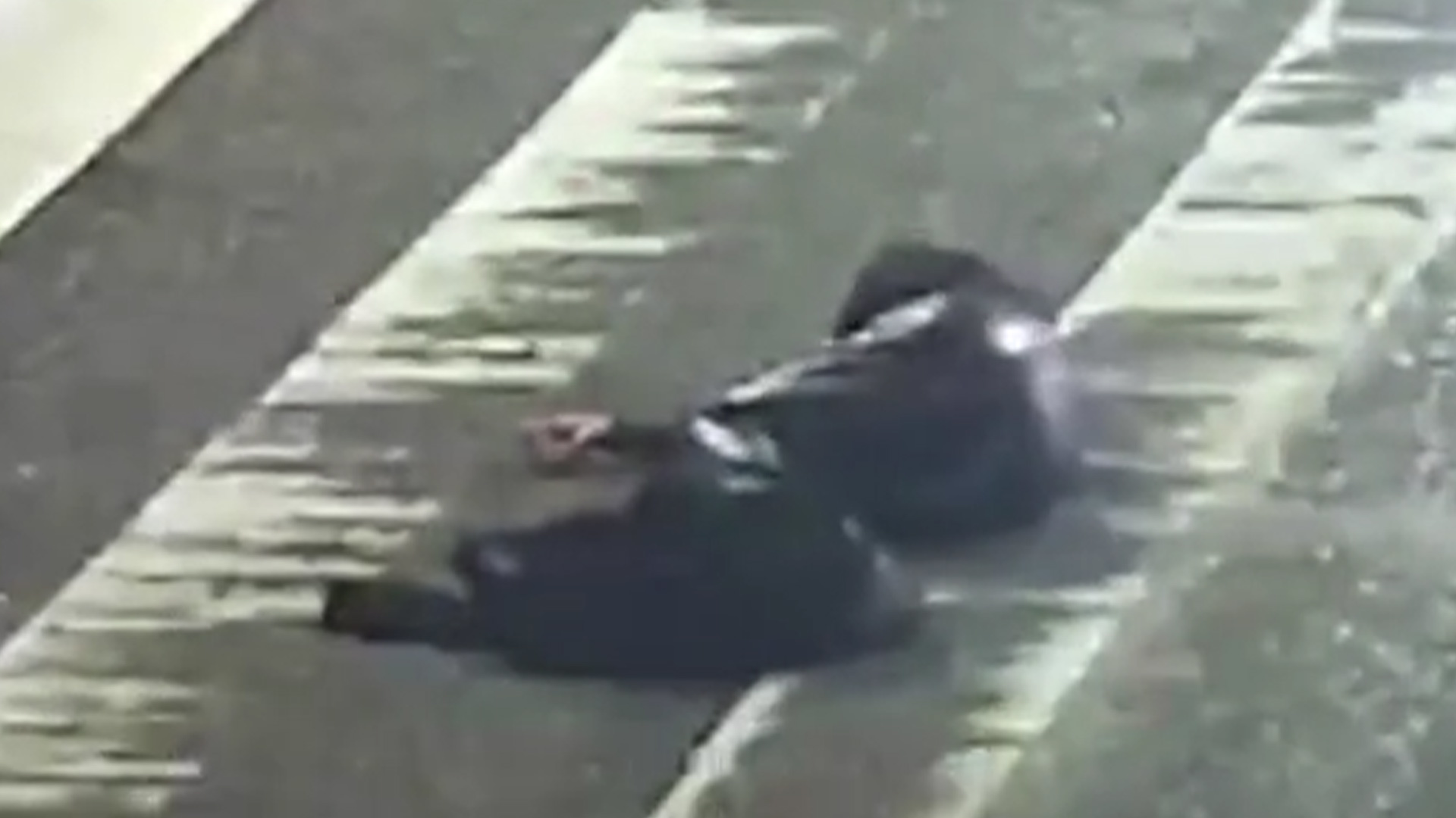 女子与家人争吵后躺路中间被公交车卷入车底，消防员紧急救援