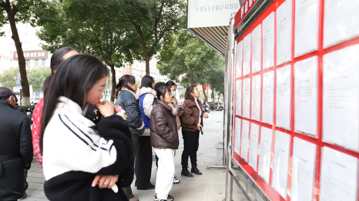 市民在展板前查看求职信息