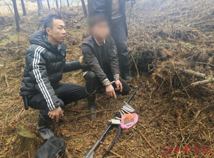 萍乡摧毁6个跨省犯罪网络团伙 25人涉嫌危害珍贵濒危野生动物被抓
