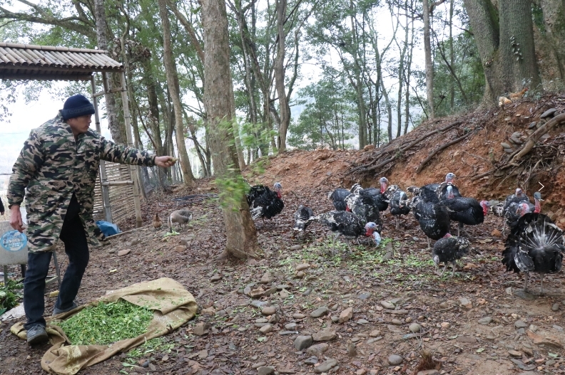 景德镇浮梁县：绘就“四融一共”和美乡村新画卷