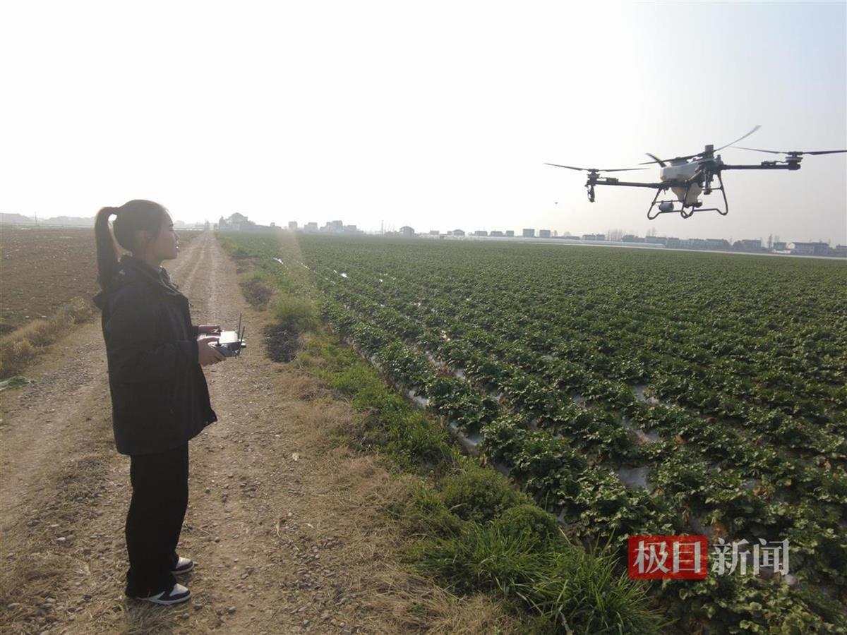许莉娜操作农用无人机施肥