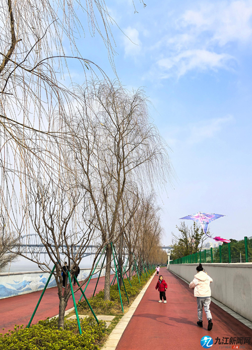 九江：浔阳江畔春来早（图）