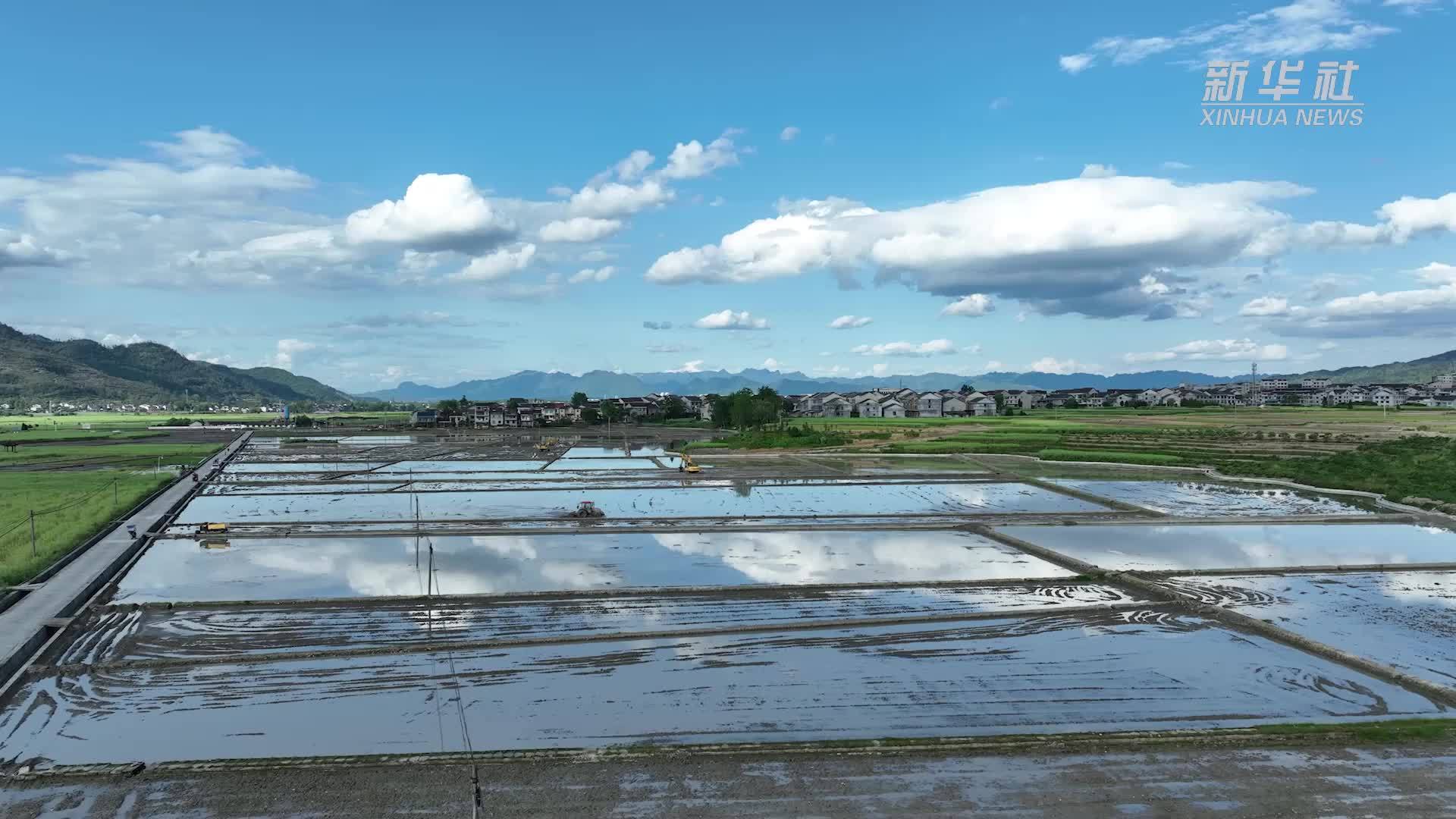 乡村振兴新图景｜世界灌溉工程遗产助力高标准农田建设