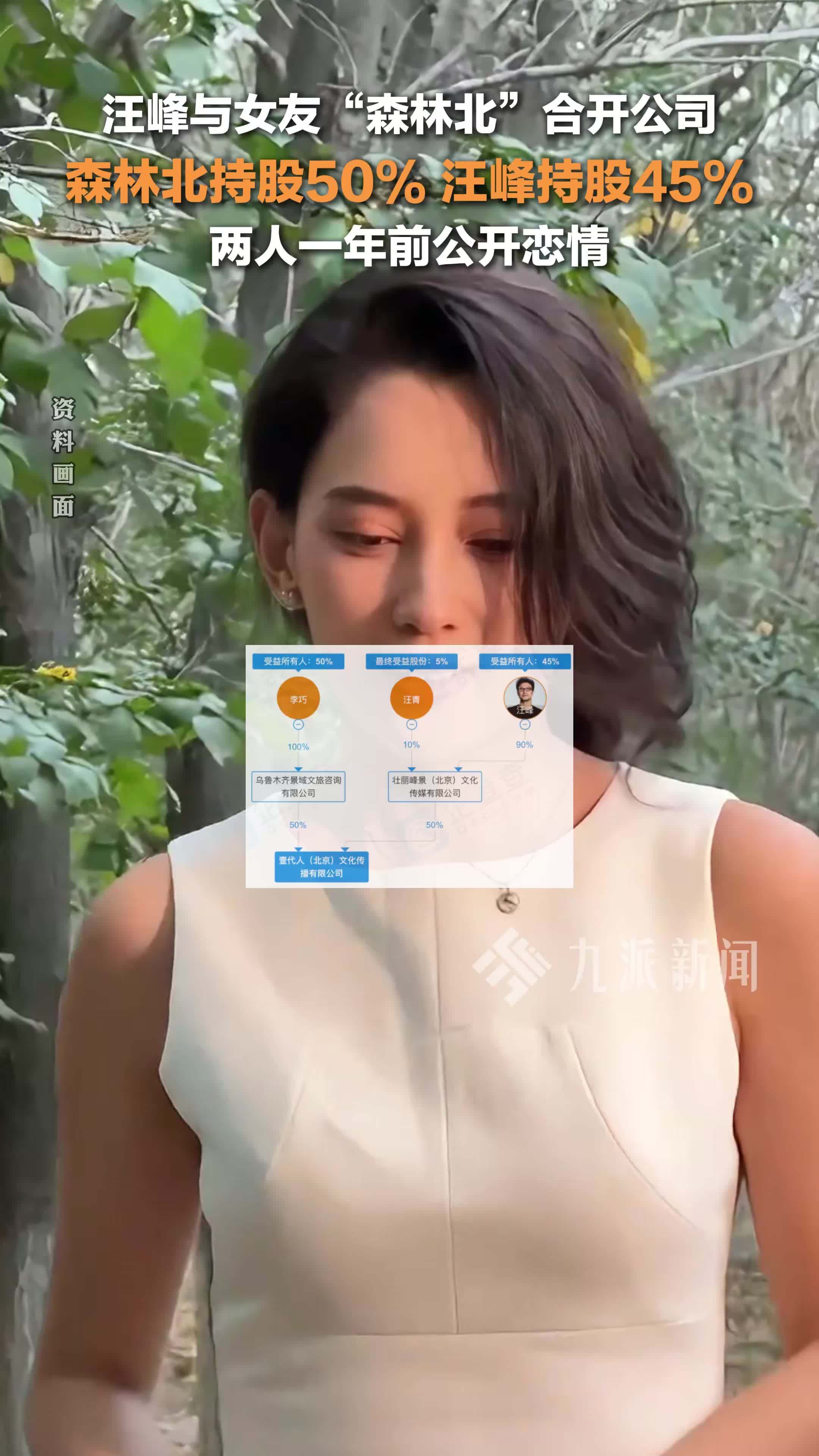 汪峰森林北合开公司 ，森林北持股50%，汪峰持股45%