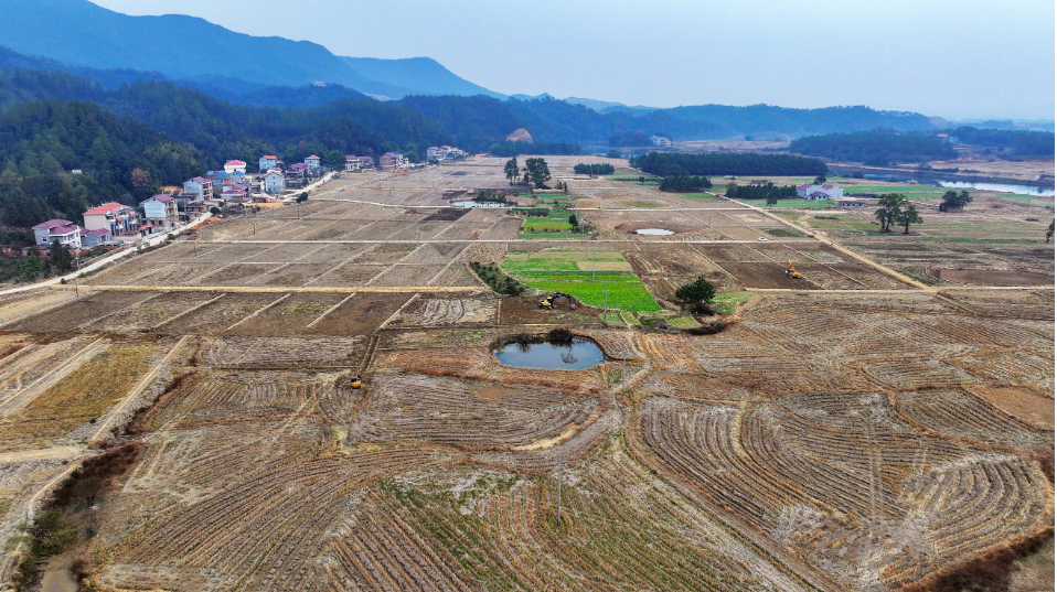 吉安这场田埂上的改革，让村集体腰包鼓起来（图）