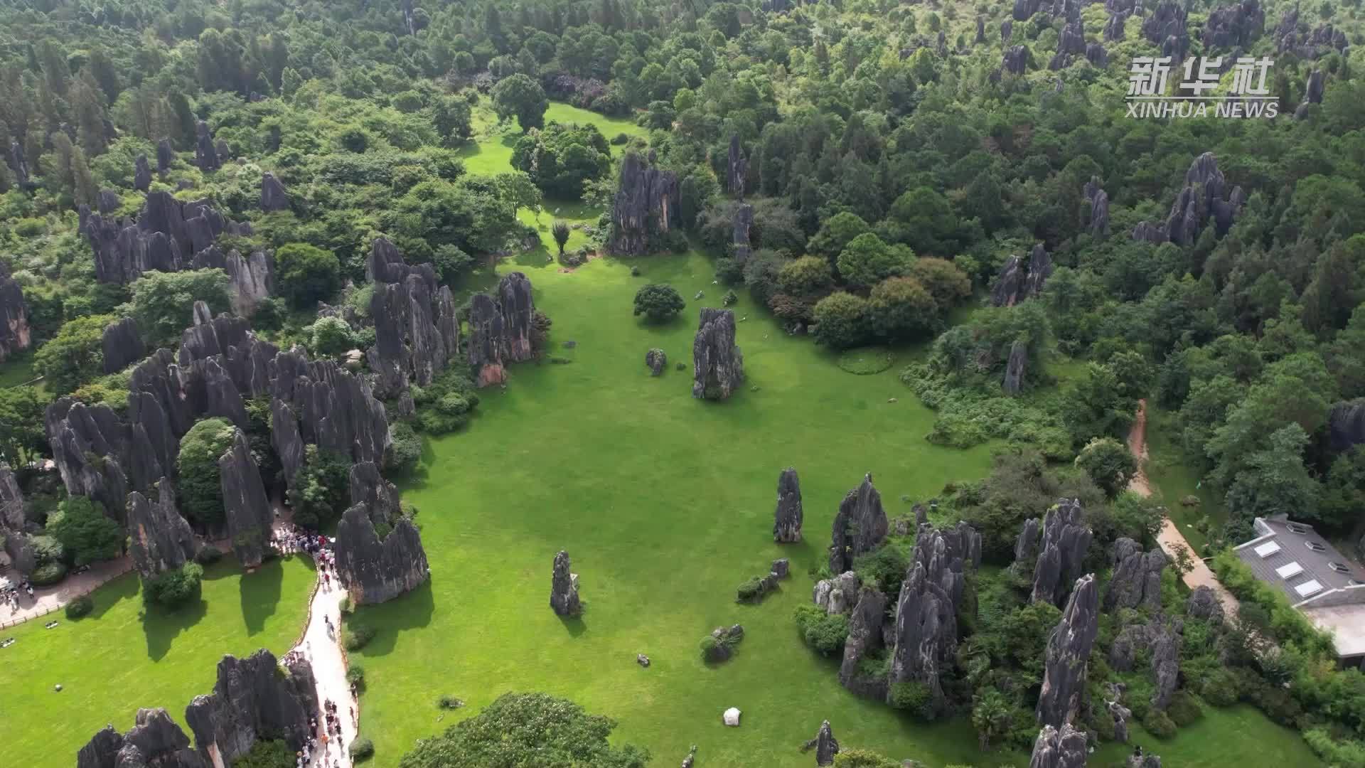 “银发族”成云南石林节后错峰游主力