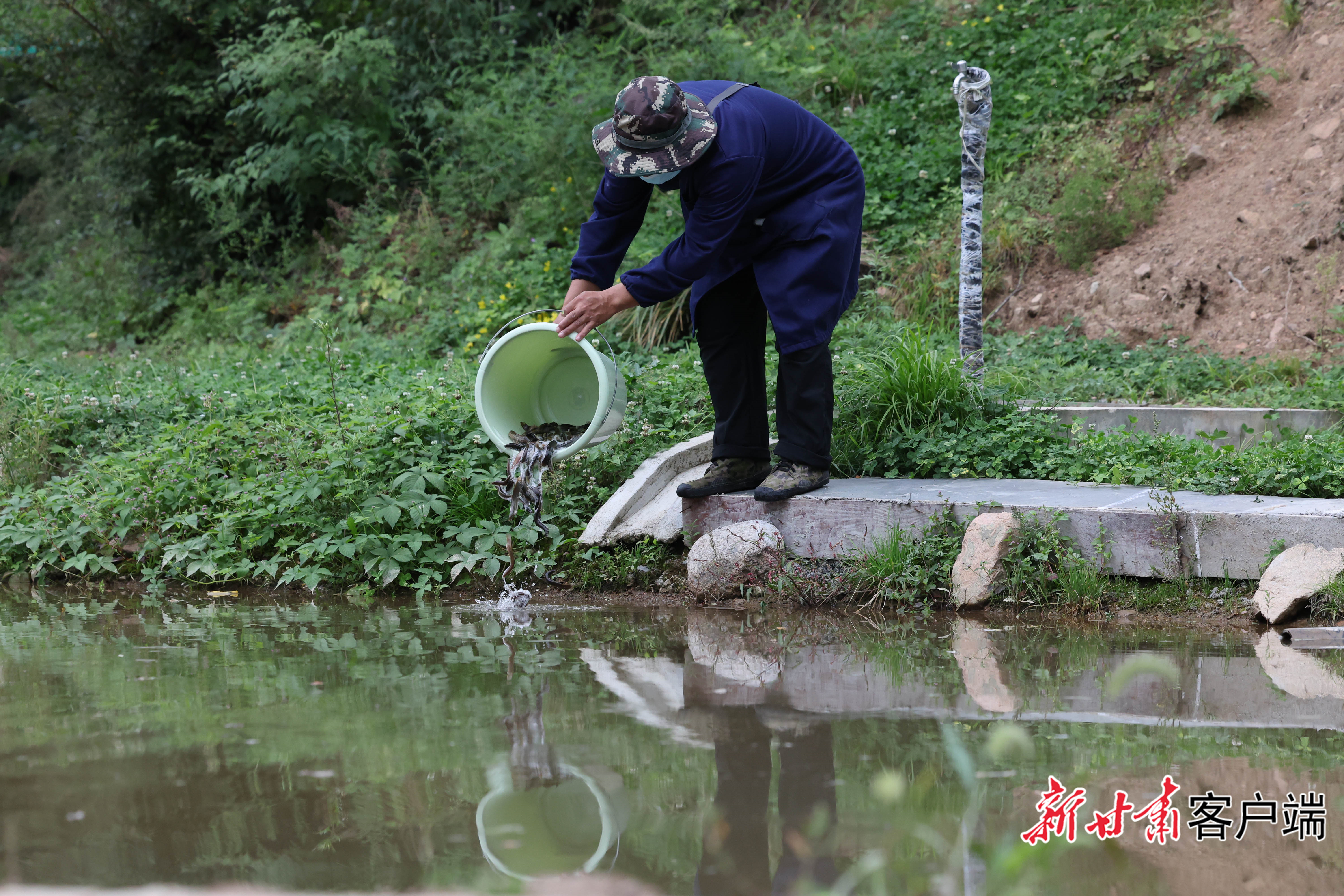 林场饲养员在湿地投放泥鳅（资料图）　新甘肃&middot;甘肃日报记者　冯乐凯　拍摄
