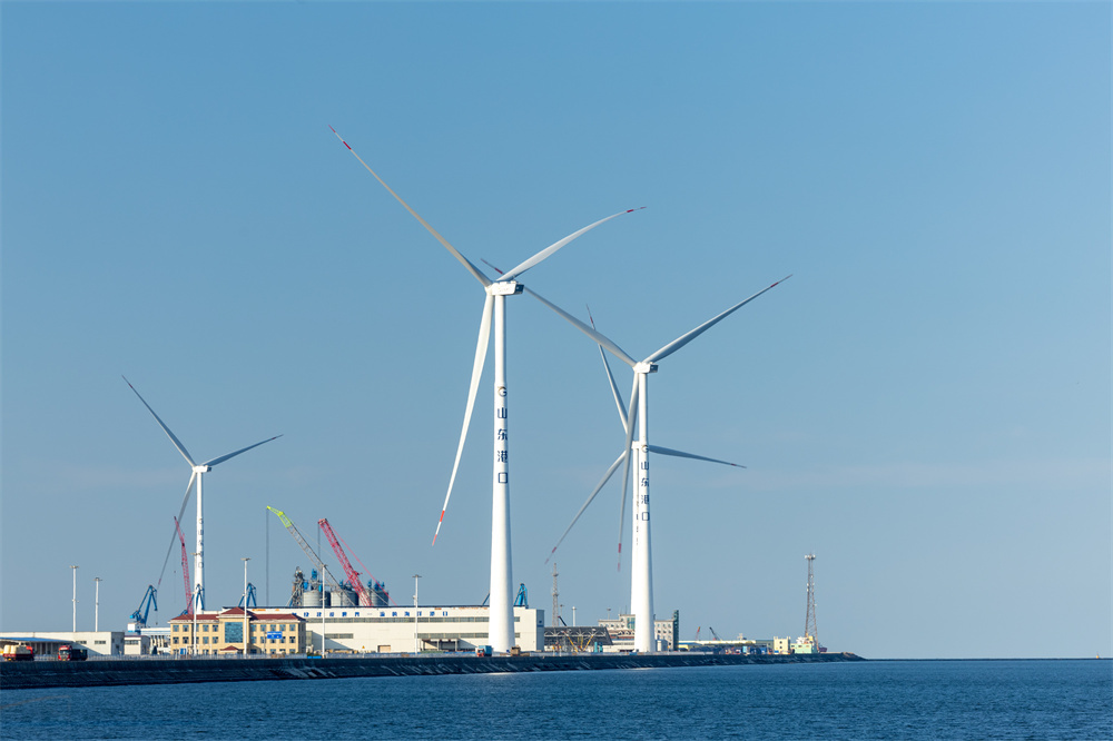 山东港口2025年世界级海洋港口群建设(潍坊)建成项目投产暨新项目启动仪式举行