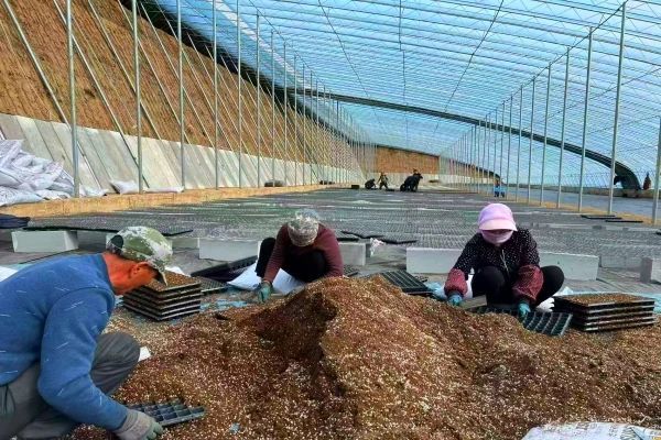 抢跑春天里奋战开门红　华亭拼劲十足