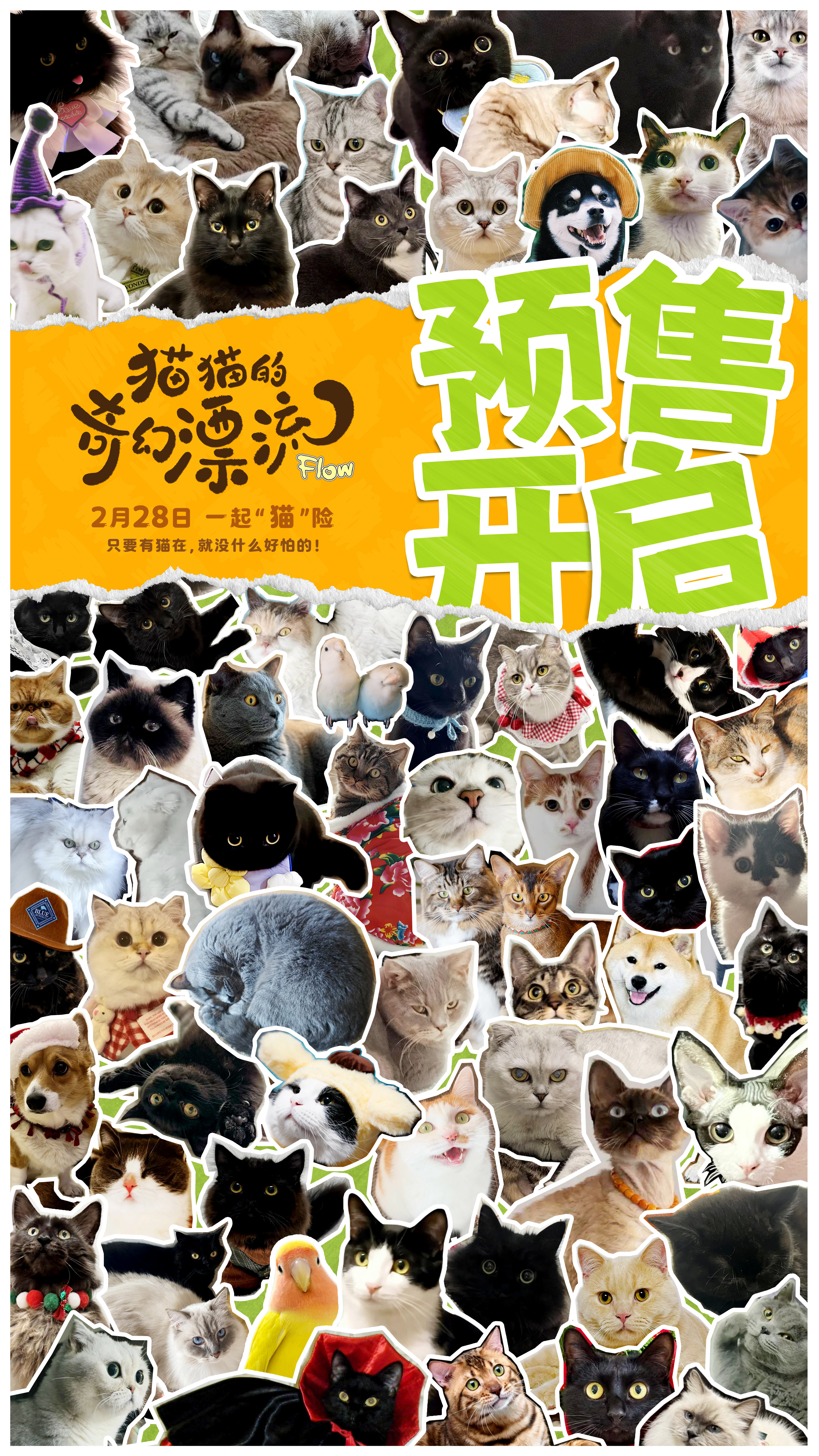 奥斯卡双提名电影《猫猫的奇幻漂流》预售开启 治愈系动画引爆口碑