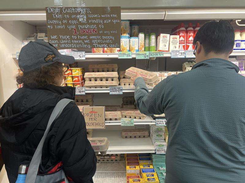 2月12日,顾客在美国加利福尼亚州洛杉矶县的一家食品连锁店购买鸡蛋。新华社发(曾慧摄)