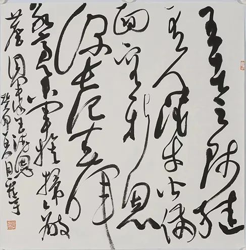 鱼水情深 绘就新时代军民融合“射阳样本”