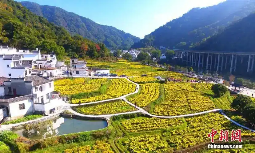 图片来源:中国新闻网