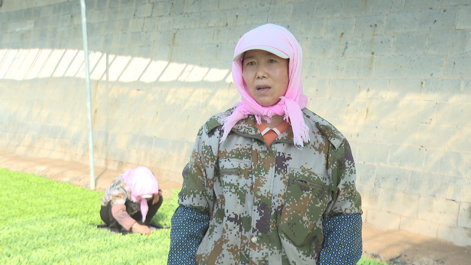 扎根黄土带领村民致富　她是永昌攒劲人