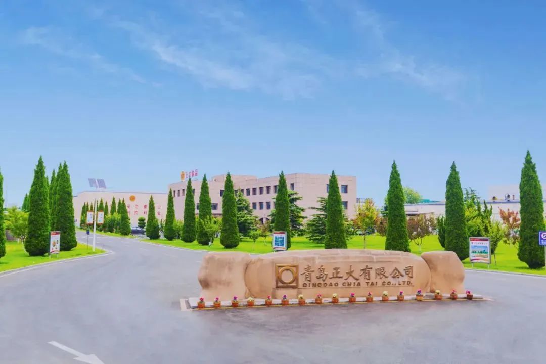 图片来源:青岛正大有限公司