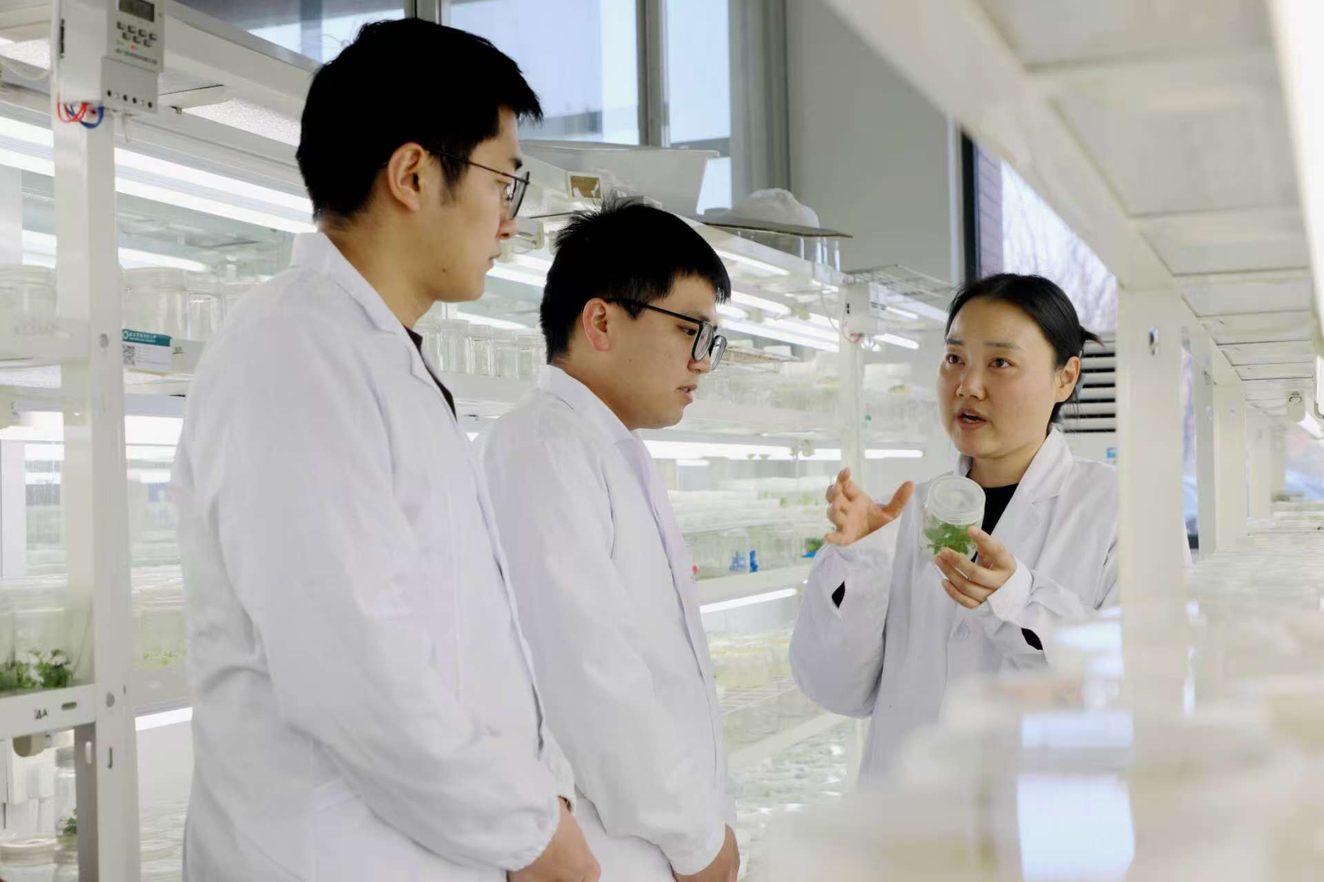 为中国苹果高质量发展接续奋斗——走进西北农林科技大学苹果抗逆与品质改良创新团队