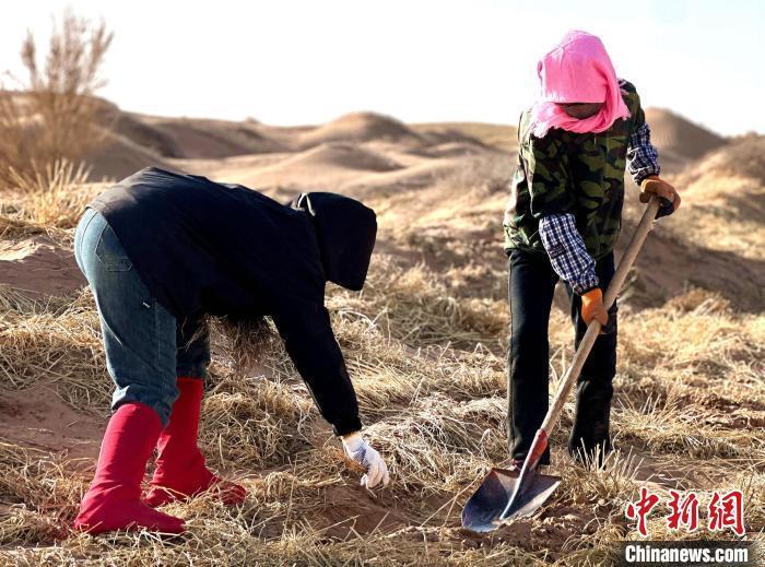 图为志愿者与当地民众一起种树植草、浇水育苗。马俊河 摄