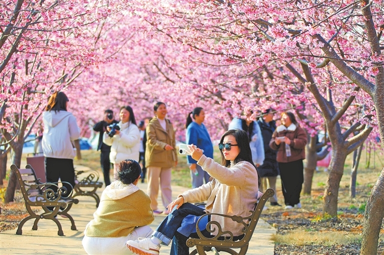 江西：春风如约至（图）
