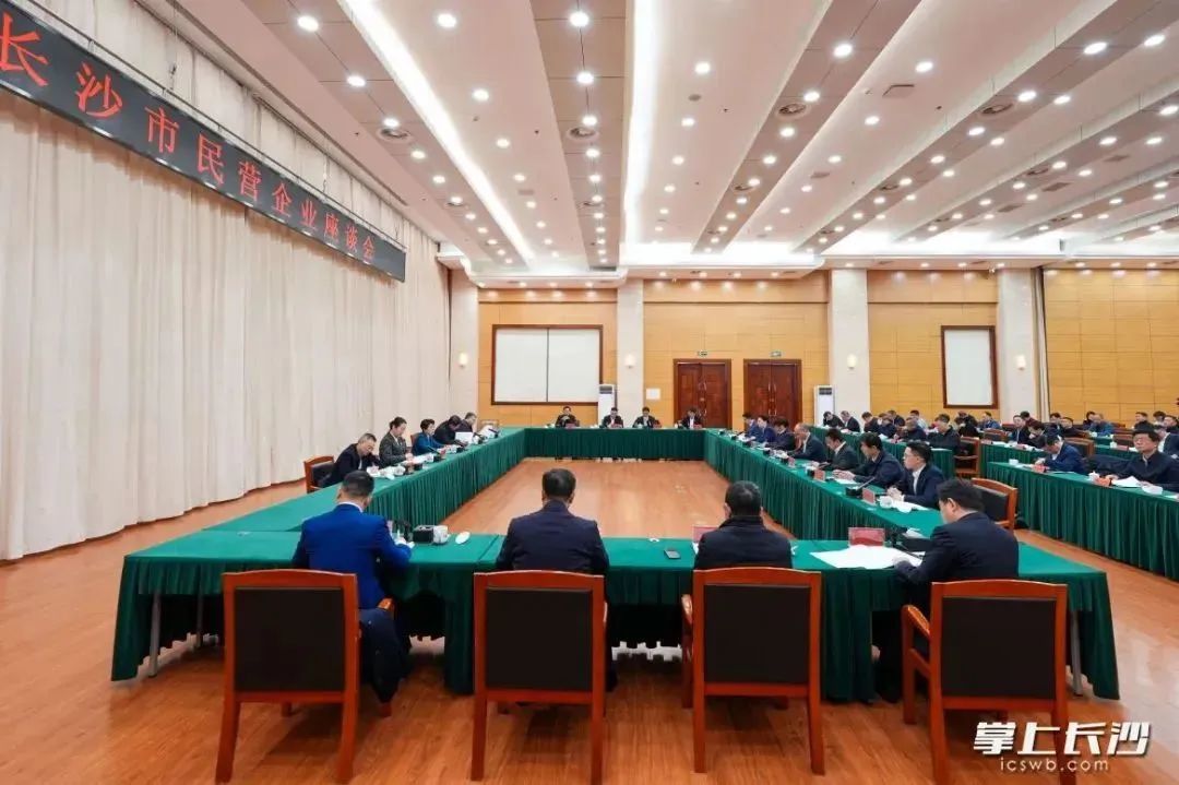 长沙民营经济,大显身手正当其时