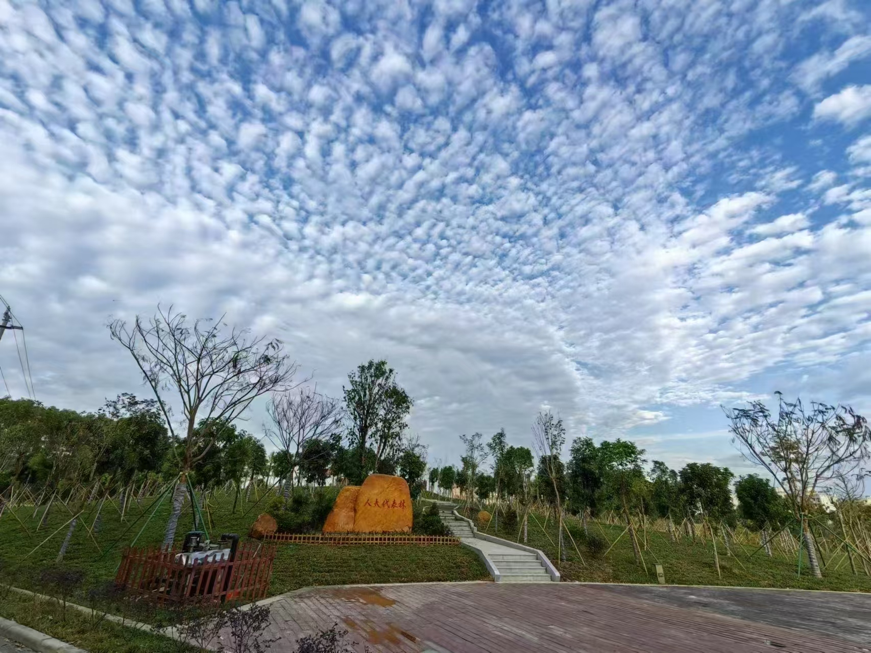 坚持守正创新 依法履职担当|奋力开创海丰人大新局面——海丰县人大常委会践行全过程人民民主的实践探索