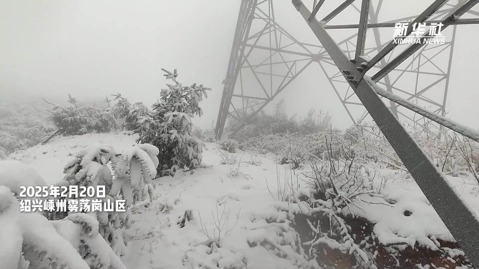 浙江绍兴：全力应对雨雪冰冻天气 保障电网安全运行