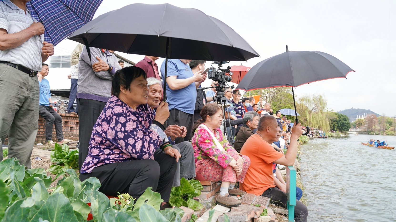 百舸争流展风采,鸿运当头迎新春!顺德大良大门第三届五人龙舟公开赛盛大开启
