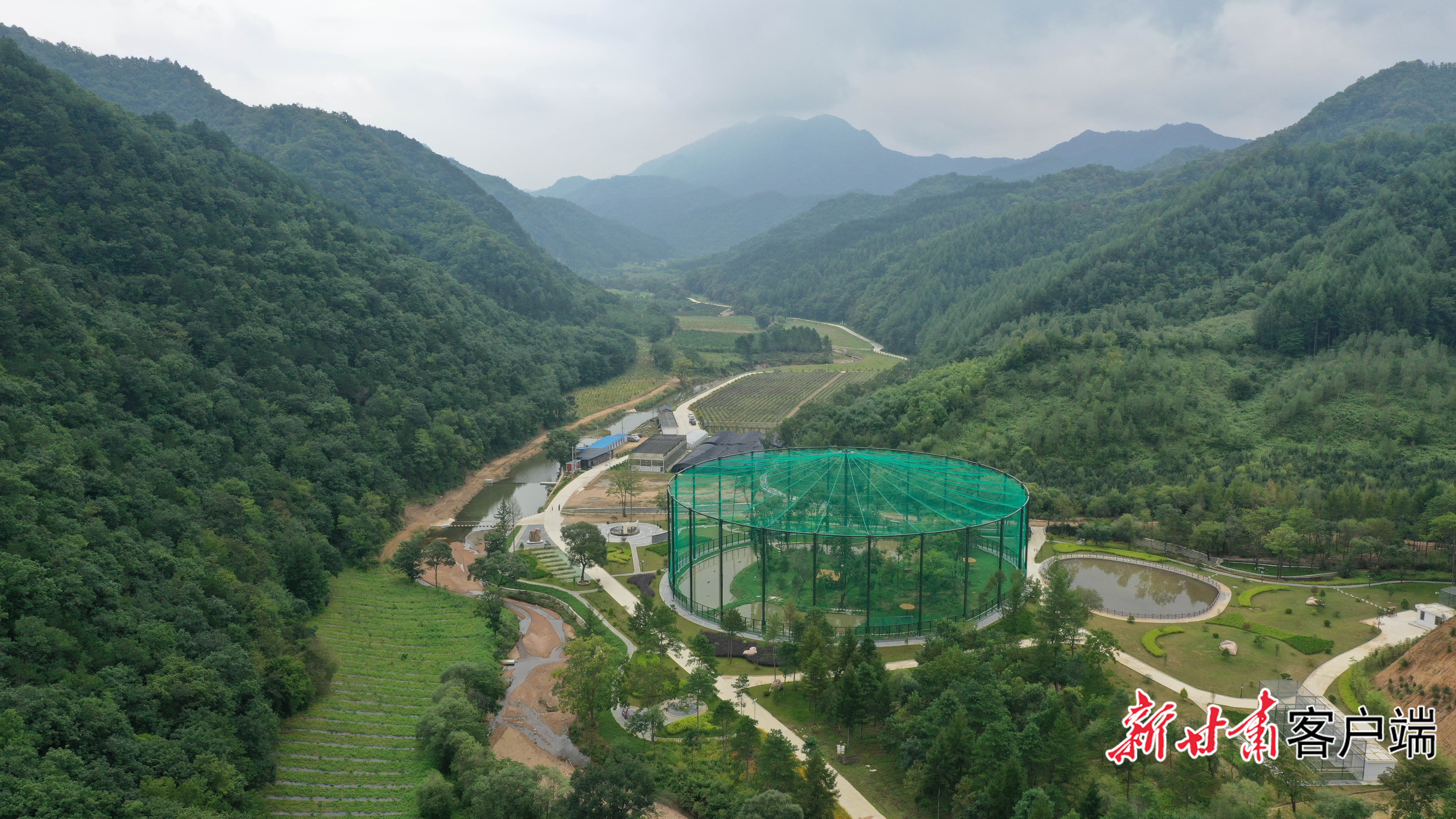 小陇山龙门林场南沟森林经营管理所（资料图）　新甘肃&middot;甘肃日报记者　冯乐凯　拍摄