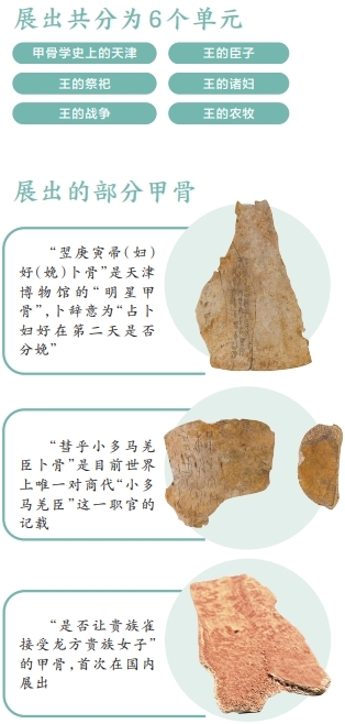36片甲骨百年来首次“回乡探亲” “王入大邑商——天津博物馆藏武丁卜辞探亲展”在殷墟博物馆拉开帷幕