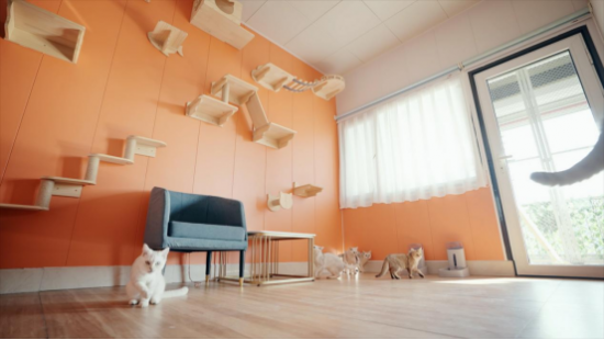 点击查看原始图片