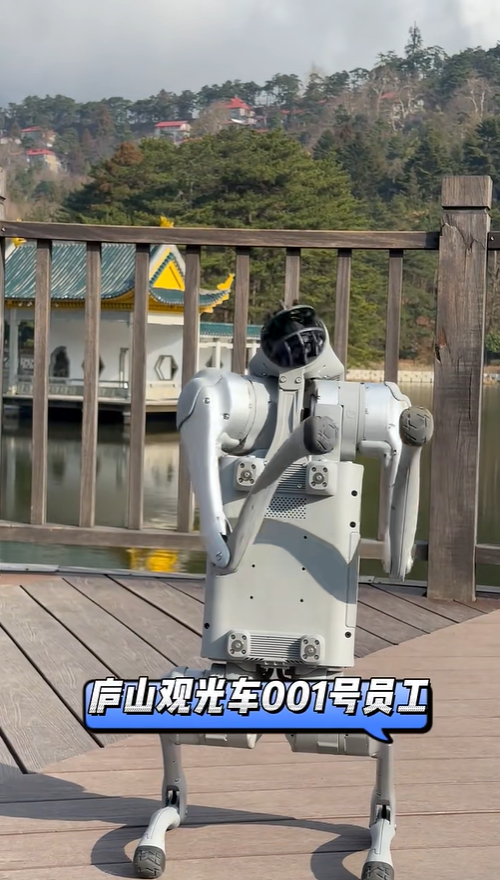 能导览、会整活、懂卖萌……机器狗在庐山风景区上岗