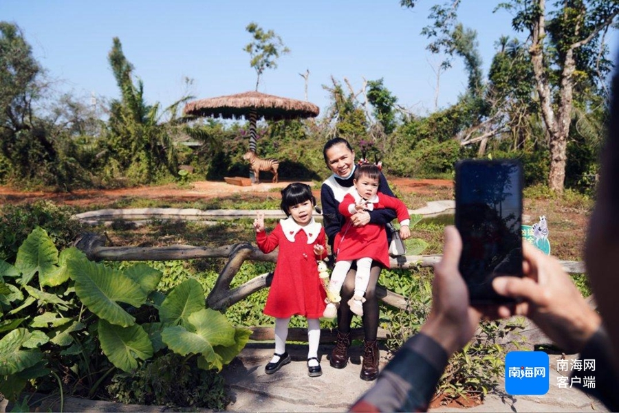 游客在海南热带野生动植物园游玩。海南热带野生动植物园供图