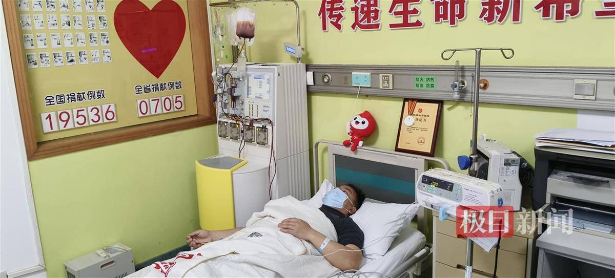 向林正在捐献造血干细胞