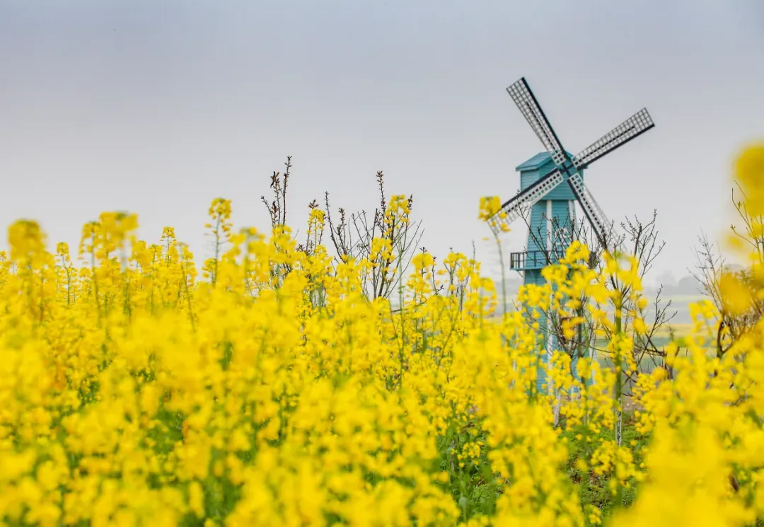 “三八”妇女节当天 九江多个景区（点）免门票
