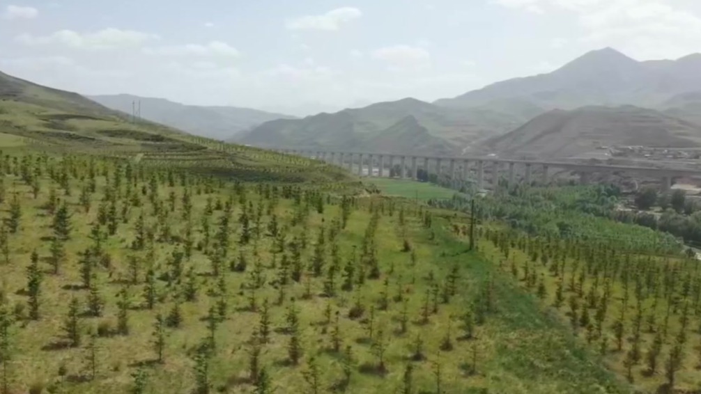 甘肃：“三北”工程筑牢西部绿色生态屏障