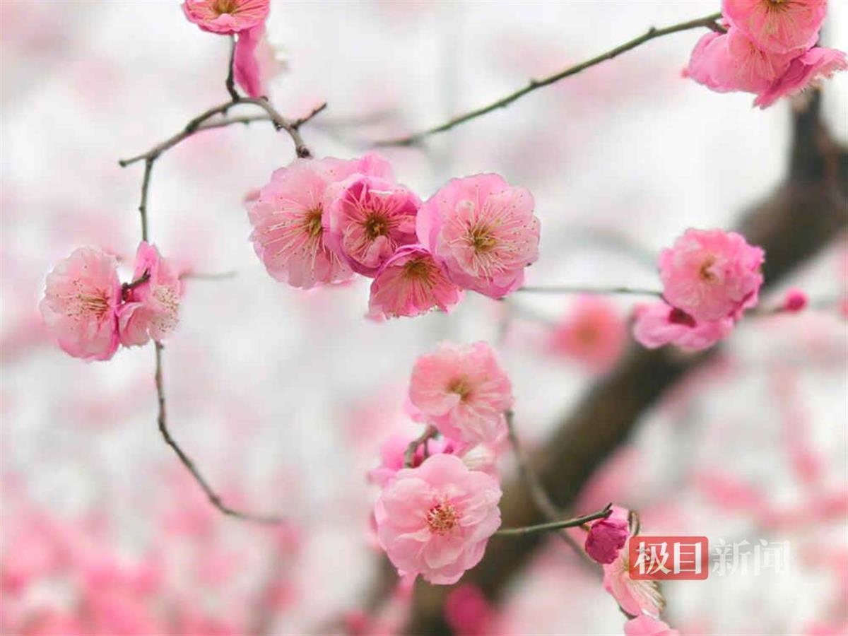 武汉沙湖公园