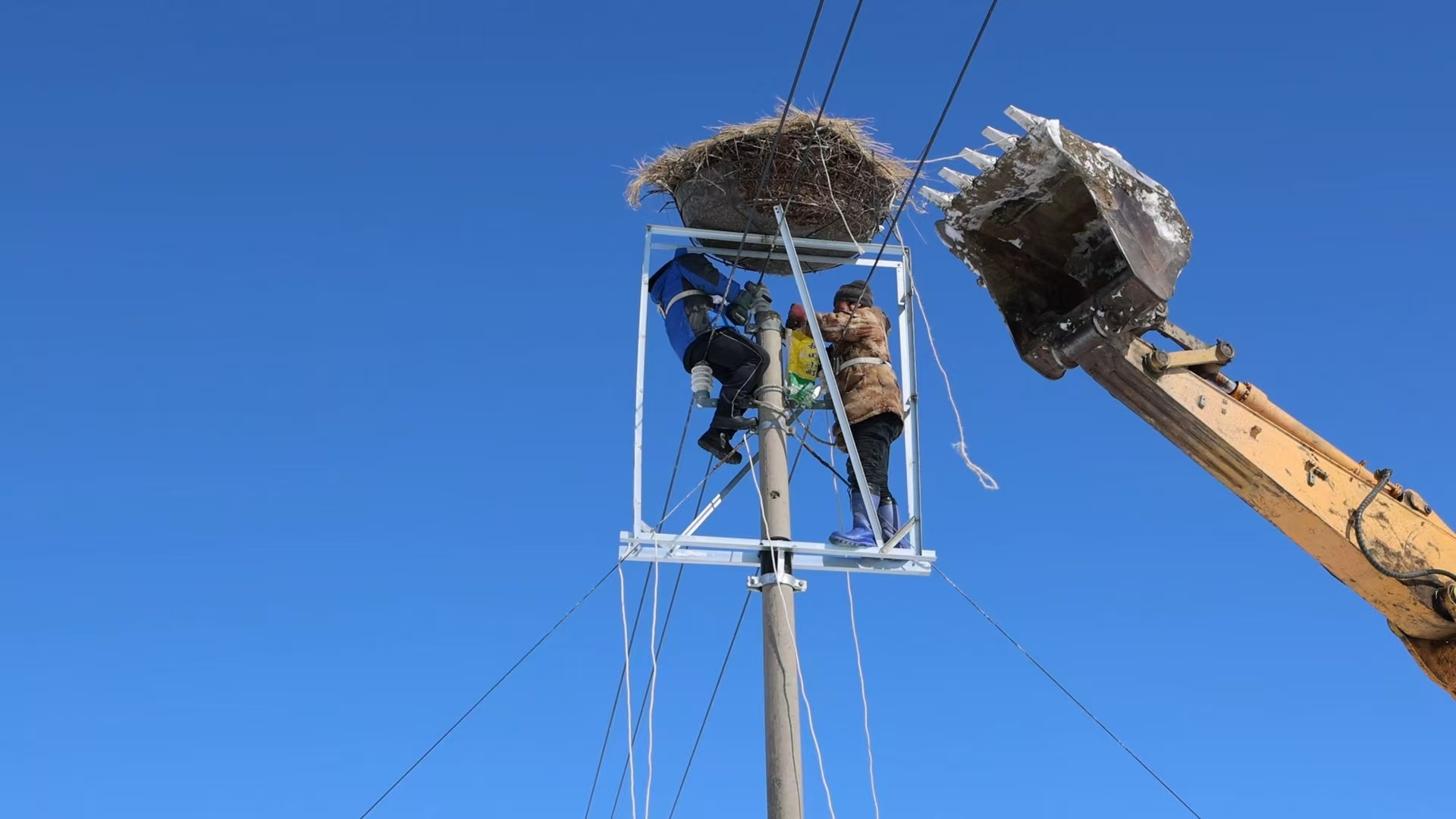 巢穴即将搭建完毕