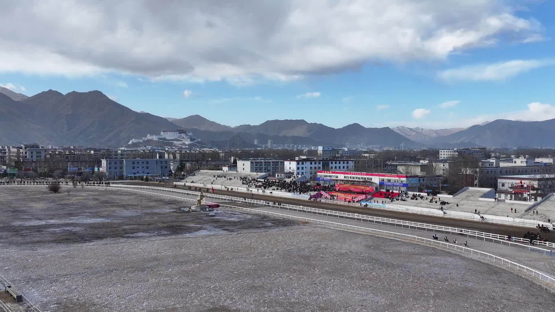 全球连线｜赛马迎春：藏历新年传统马术表演展现西藏新气象