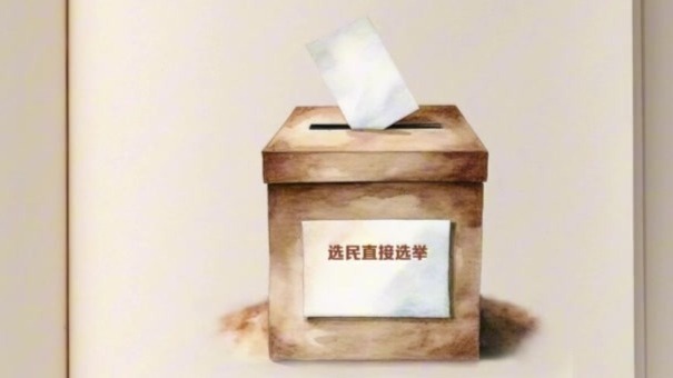 两会小课件丨代表委员是怎么产生的