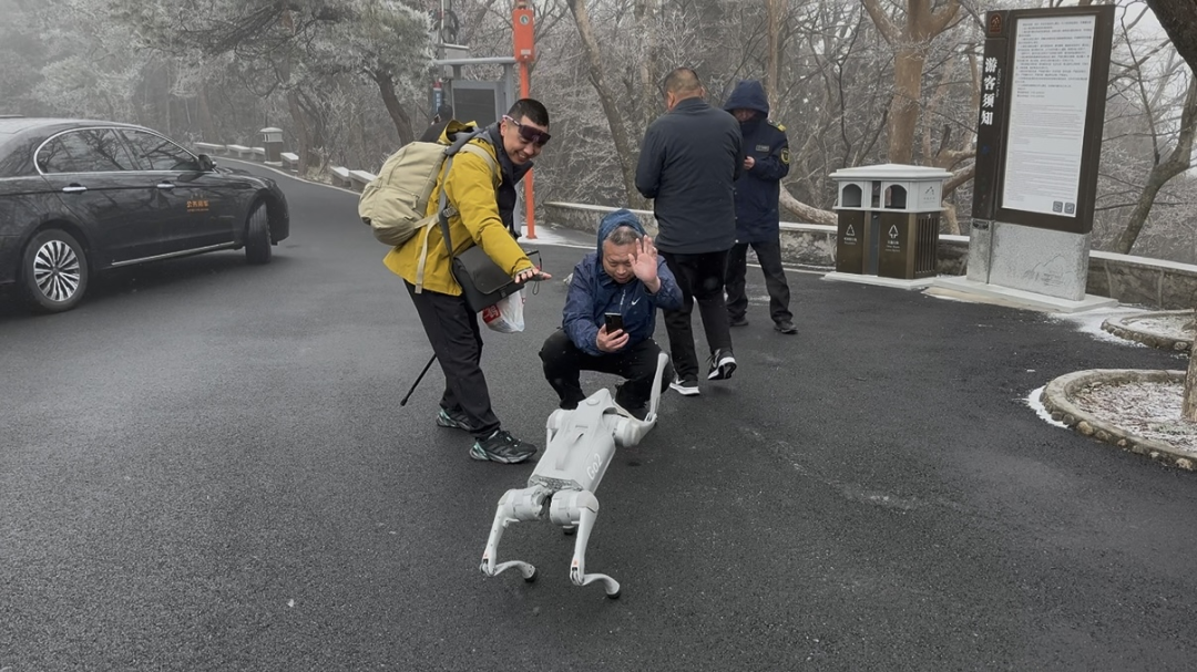 能导览、会整活、懂卖萌……机器狗在庐山风景区上岗