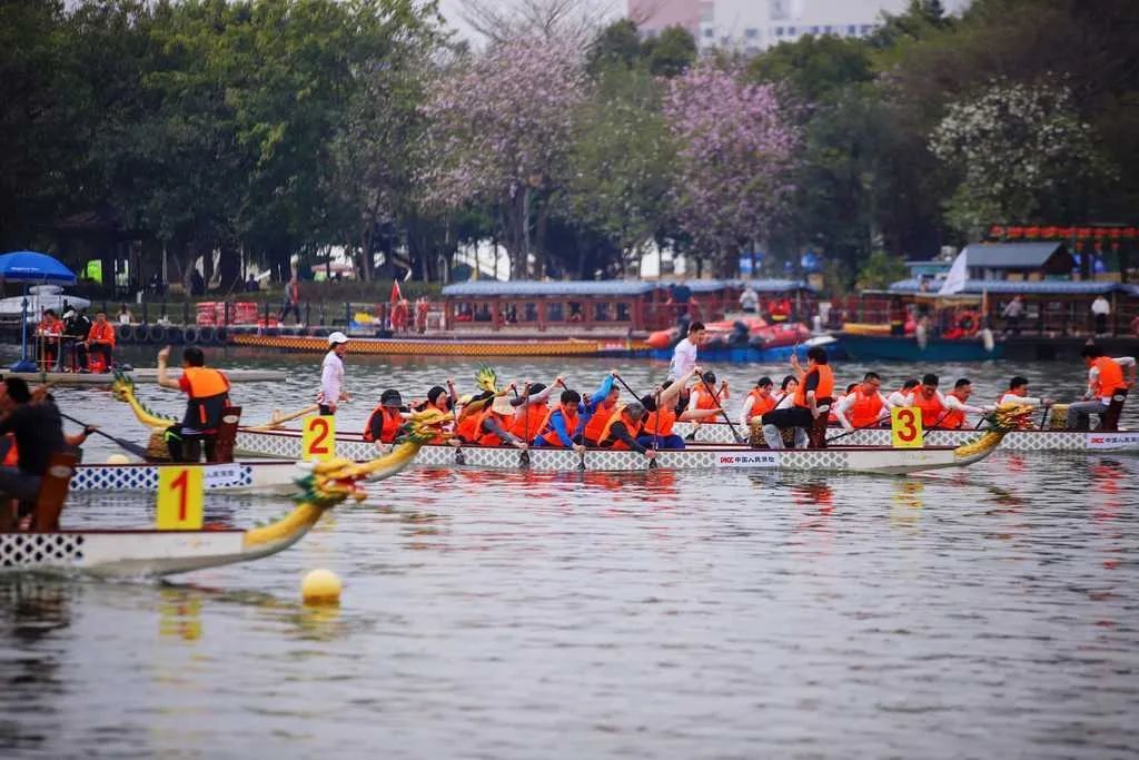 2025年麻涌镇龙舟俱乐部大联赛(第二站)在华阳湖国家湿地公园激情上演