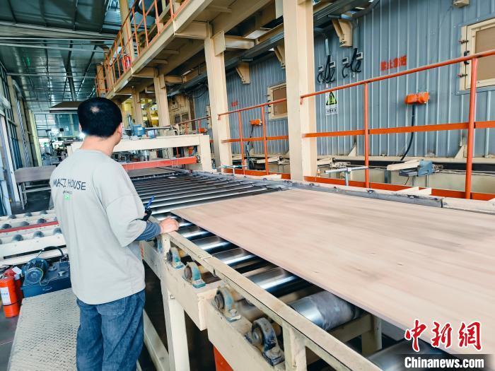在山东晟昌新材料有限公司生产车间，全球首条全自动化胶合板饰面连续平压生产线正开足马力生产。兰山区委宣传部供图