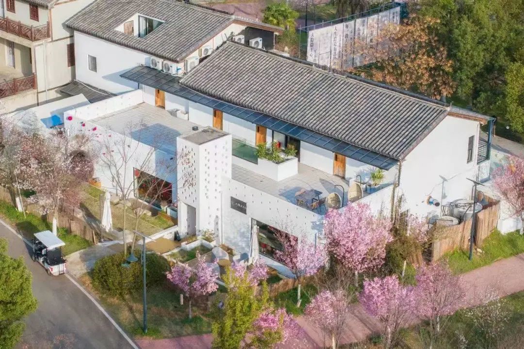 赏樱必去 武汉隐藏打卡点公开→凤凰网湖北_凤凰网