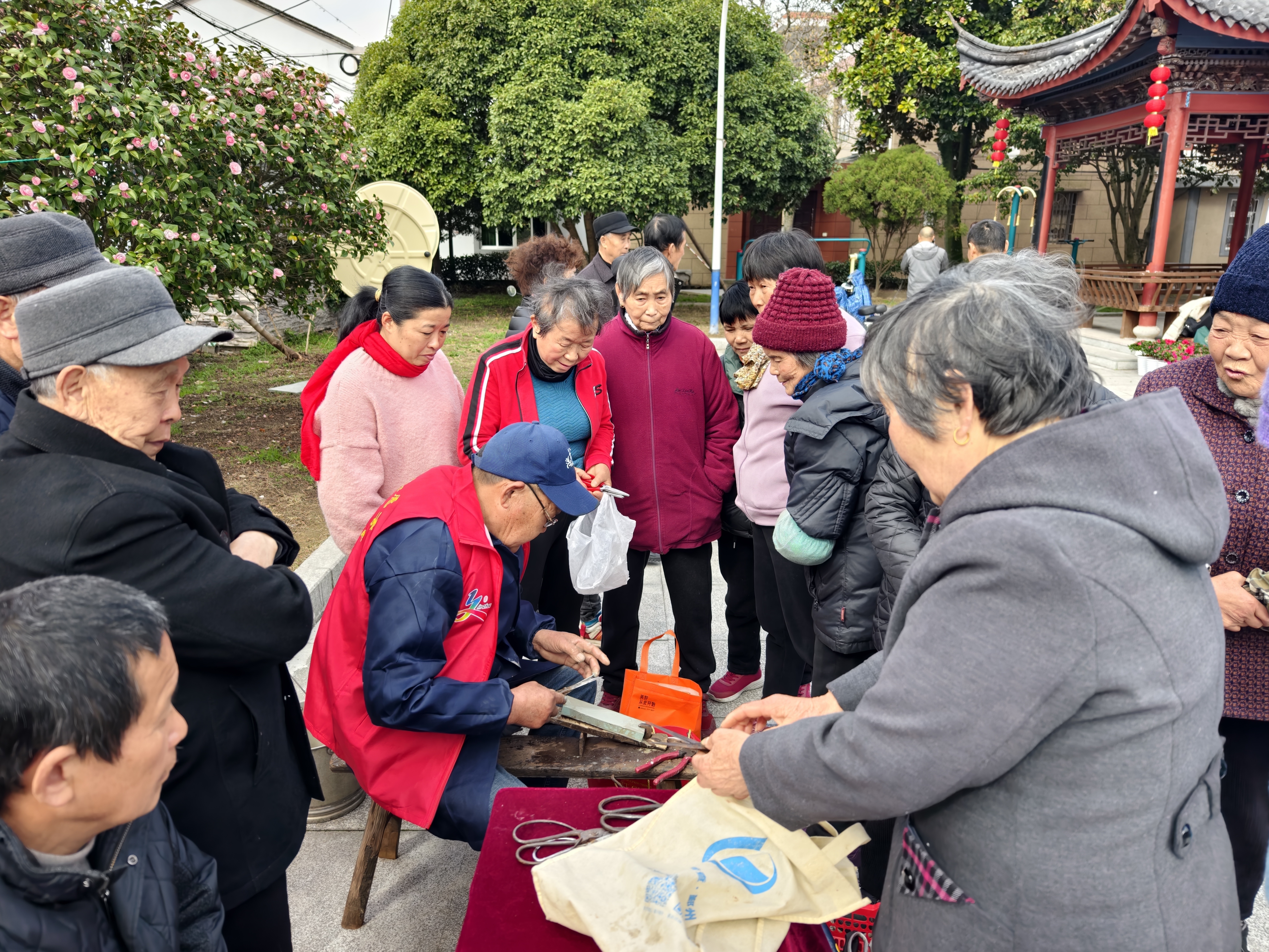 志愿服务赋能互助养老，鄞州咸祥镇构建老年友好乡镇新典范