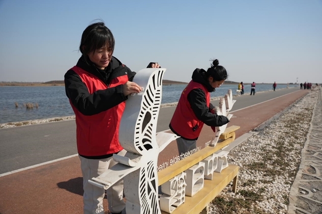 志愿者清洁湿地景区标识。 刘晓天摄