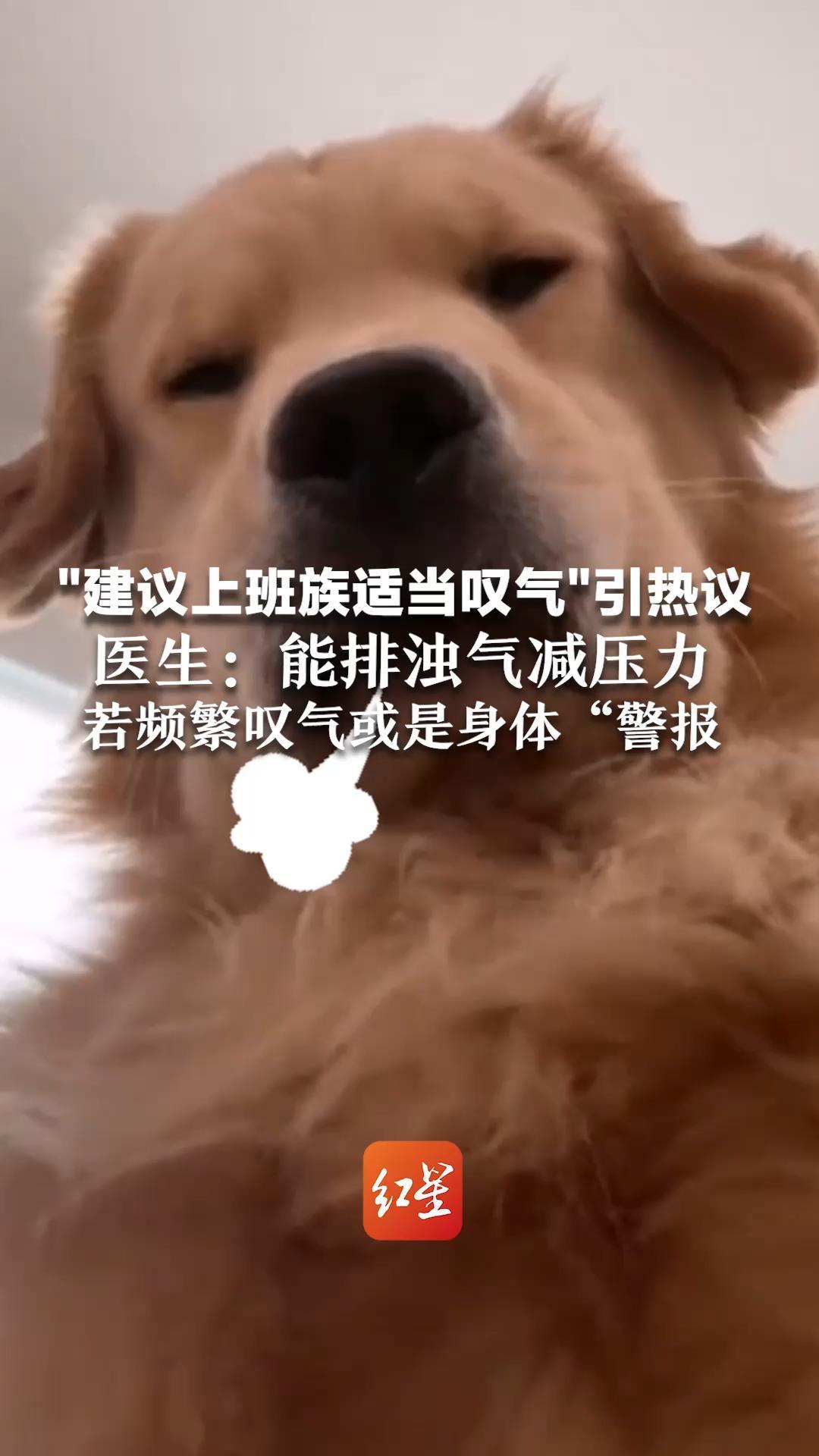 “建议上班族适当叹气”引热议 医生:能排浊气减压力 若频繁叹气或是身体“警报”_凤凰网视频_凤凰网