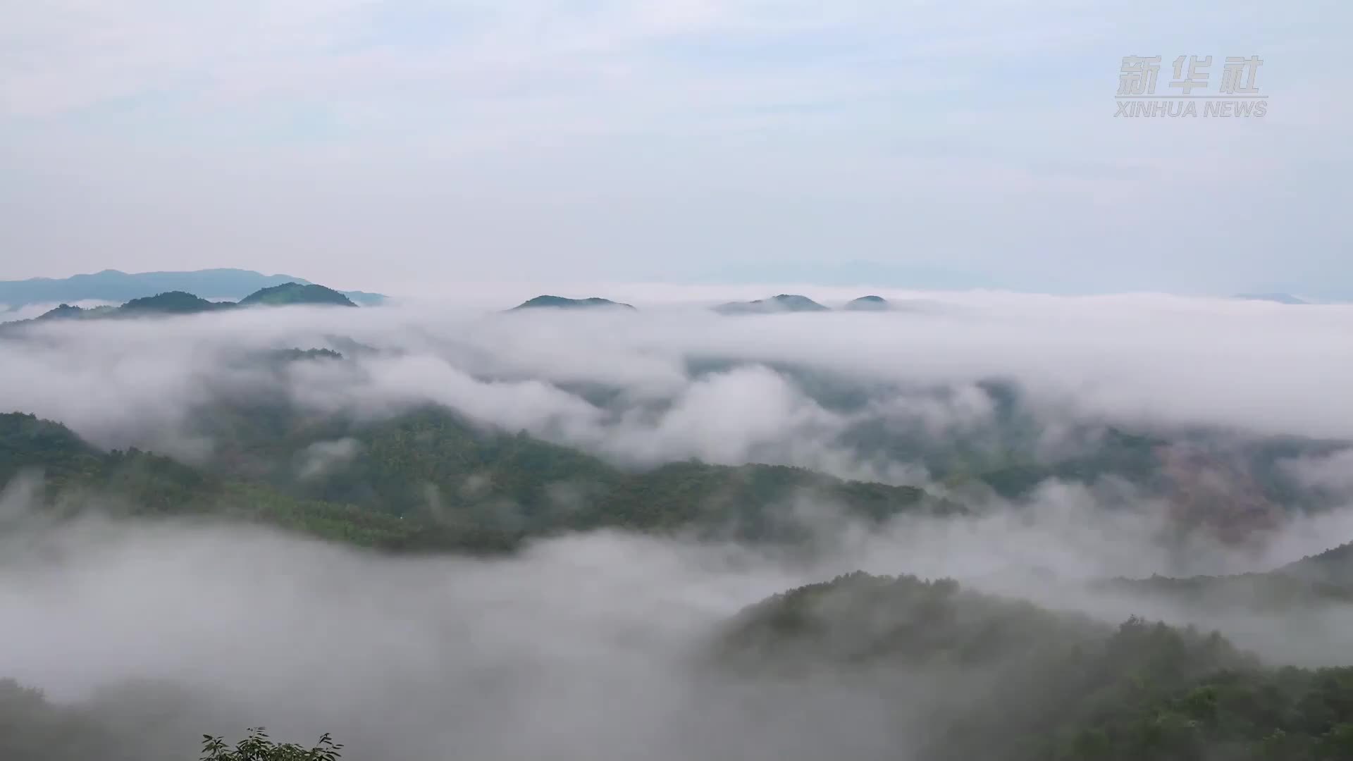 《基层民主故事》第三集《板凳上的金点子》