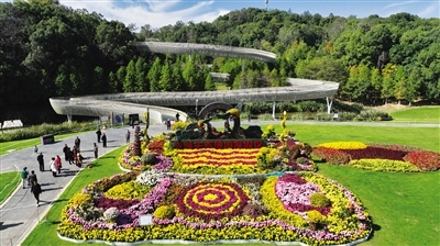 磨盘山森林公园