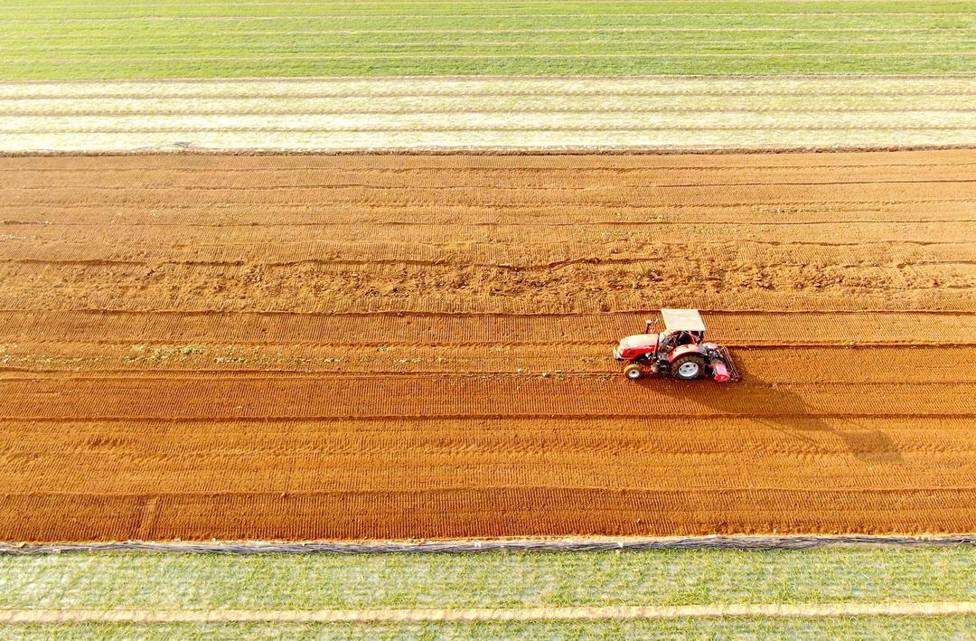 2024年,山东粮食总产1142亿斤,再创历史新高。